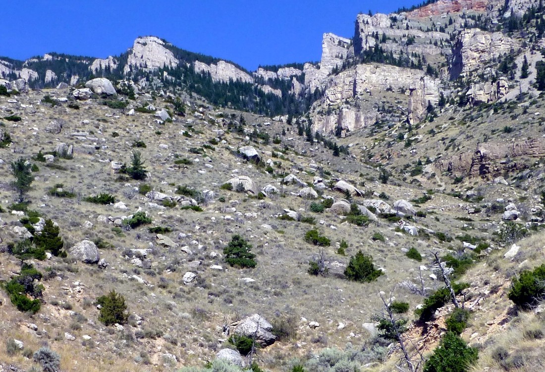 cody - Rattlesnake Mountain