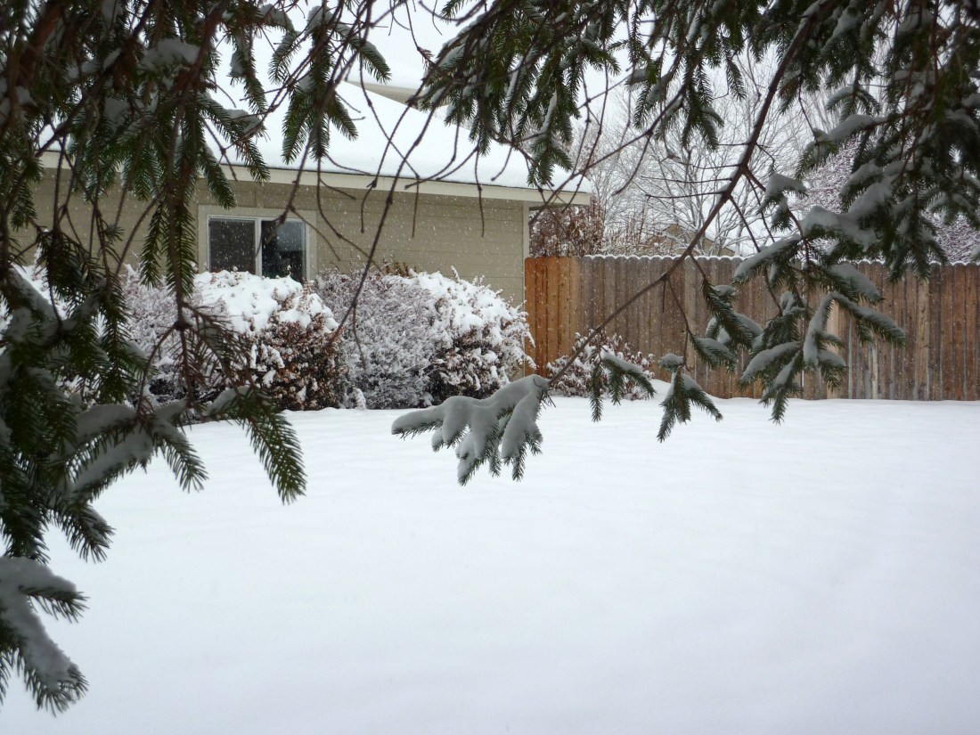 December 1st snow in the daylight 002