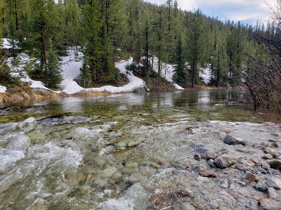 65303925_10100958459242477_6415404478375133184_n